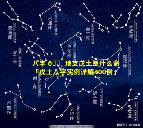 八字 🕸 地支戊土是什么命「戊土八字实例详解300例」